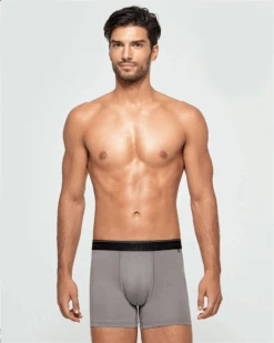 2166f84 – Travel – Gris